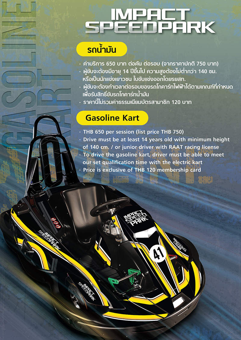 Gasoline Karts Pricing